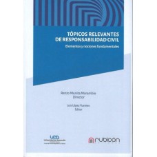 Tópicos Relevantes de Responsabilidad Civil, Elementos y Nociones Fundamentales